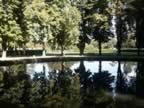 More reflections at Abbaye de Royaumont (59kb)